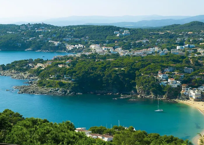 Capdevila Daire Llafranc